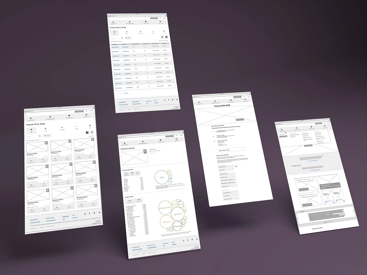 Wireframes for the site, covering the landing page, testing services and reports.